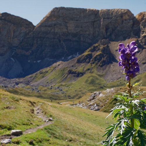 Magnifique Cirque de Troumouse